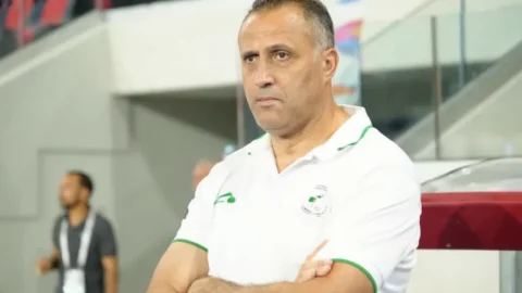 إبراهيم حمداني مدربا جديدا لمنتخب الجزائر