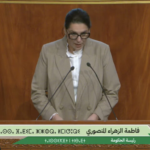 “لايخالف الدستور”.. المنصوري تدافع عن إيداع مشروع قانون المالية قبل تنصيب الحكومة