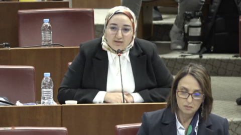 برلمانية تشكك في قدرة مشروع مالية 2027 على تحقيق السيادة الغذائية والمائية والطاقية