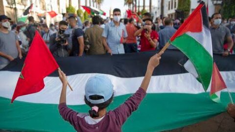 في يوم المدرس.. جبهة دعم فلسطين تدعو أسرة التعليم لمناهضة التطبيع التربوي