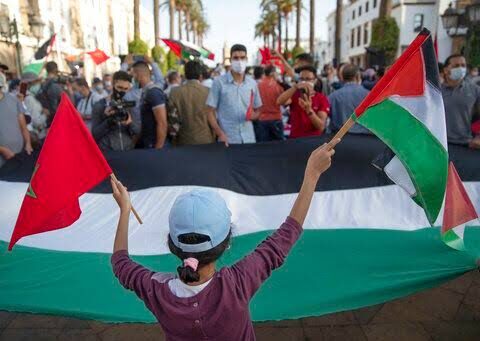 في يوم المدرس.. جبهة دعم فلسطين تدعو أسرة التعليم لمناهضة التطبيع التربوي